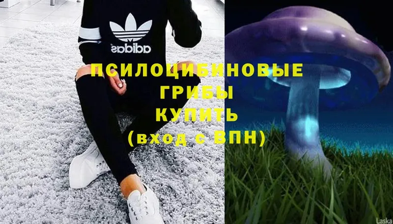 omg ONION  Хвалынск  Псилоцибиновые грибы Psilocybe  купить  